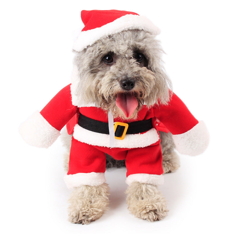 The Santa Paws Suit