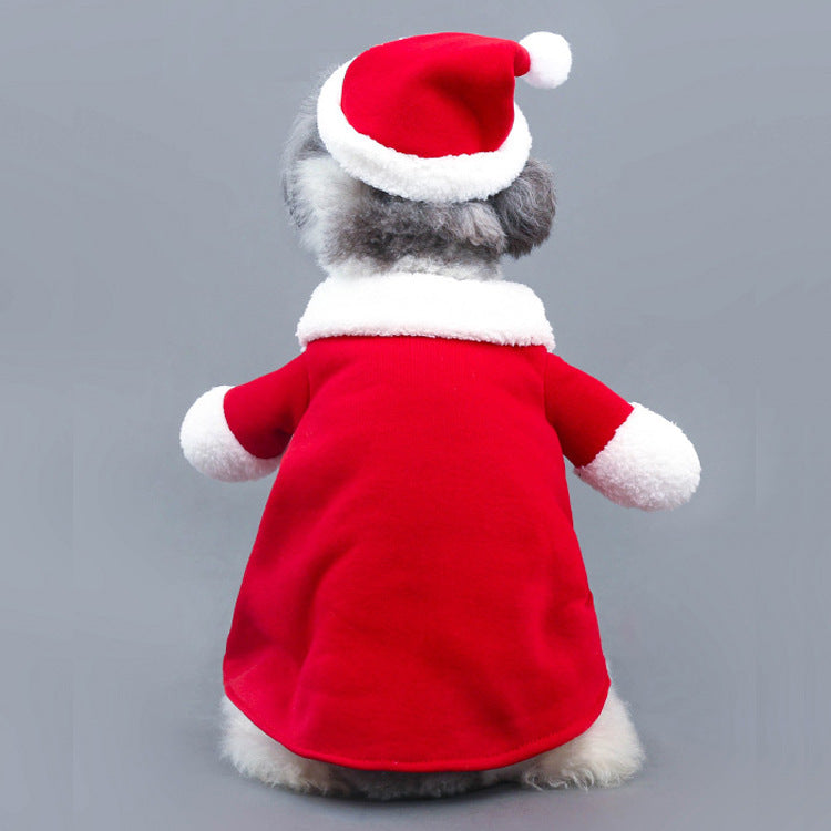 The Santa Paws Suit