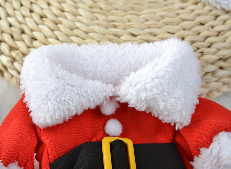 The Santa Paws Suit